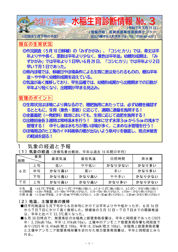 令和７年度水稲生育診断情報No.3