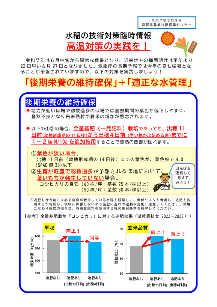 水稲の技術対策臨時情報「高温対策の実践を！」