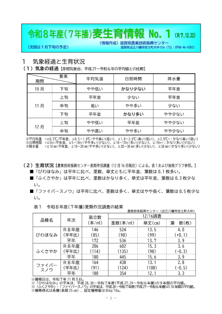 令和8年産(7年播)麦生育情報 No.1