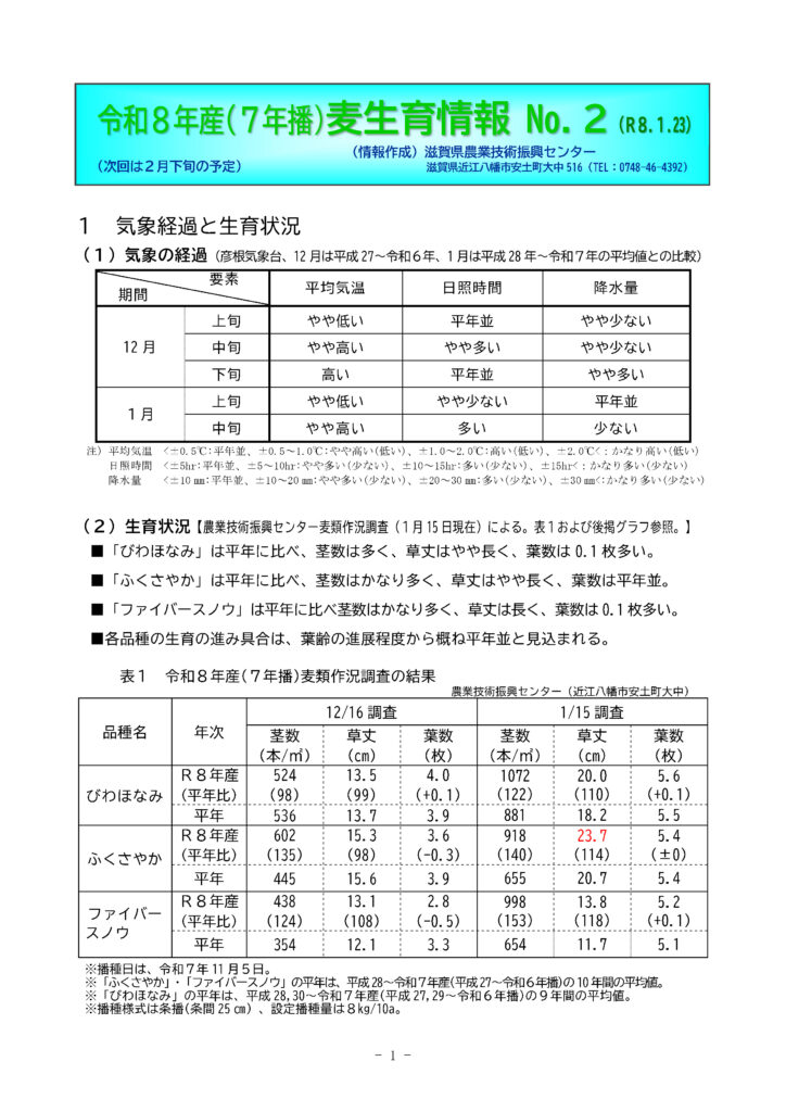 令和8年産（7年播）麦生育情報 No.2