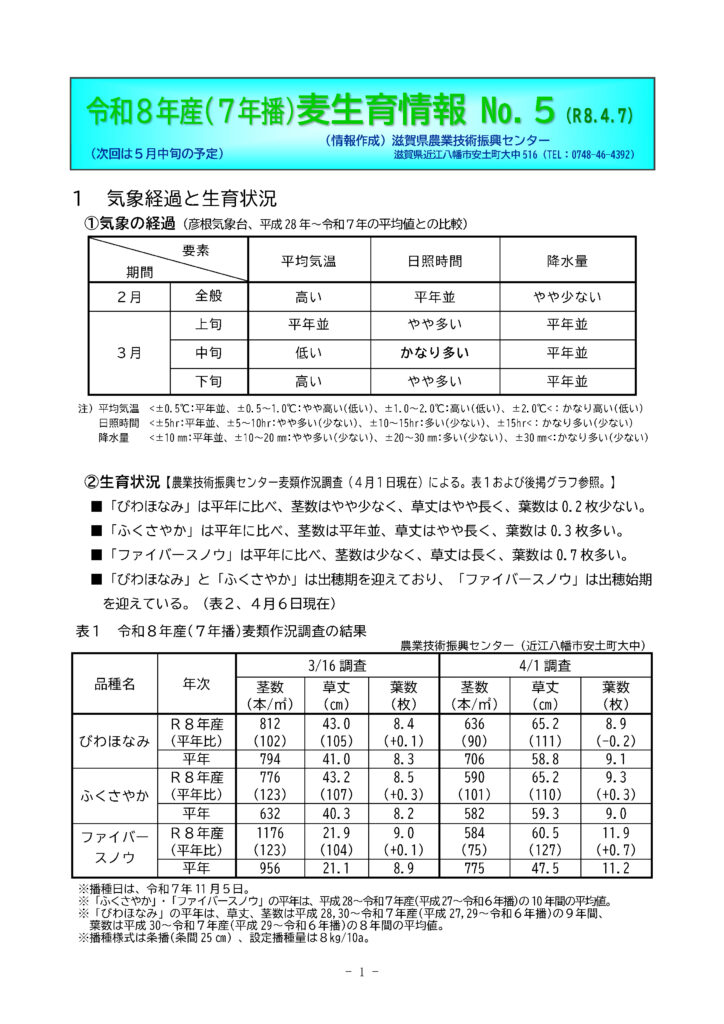 令和8年産（7年播）麦生育情報 No.5